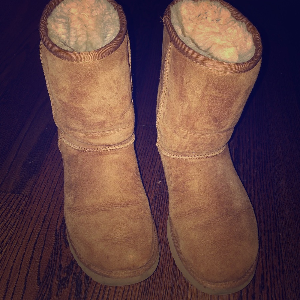 Uggs Chestnut - image 3